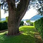 Magnolia In Cademartori