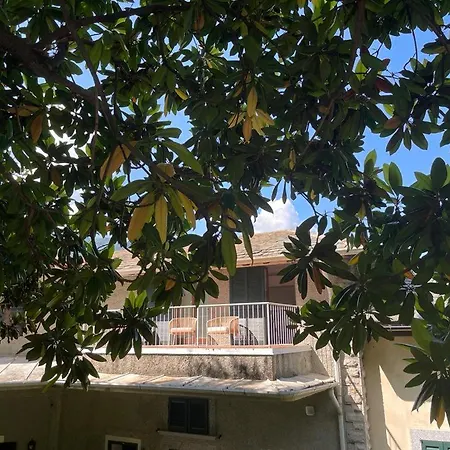 Appartement Magnolia In Cademartori *